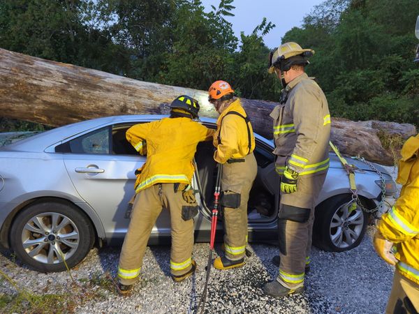 Firefighters working on a car that has a log on the roof.